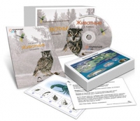 Комбинированное наглядное пособие «Животные» - «globural.ru» - Карпинск