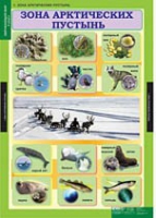 Окружающий мир 4 класс (комплект таблиц) - «globural.ru» - Карпинск