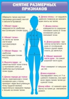 Стенд "Снятие мерок" (вариант 2) - «globural.ru» - Карпинск