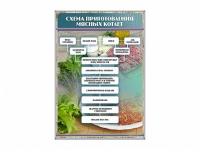 Стенд "Схема приготовления мясных котлет" - «globural.ru» - Карпинск