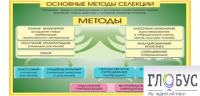Стенд "Методы селекции и биотехнологии" - «globural.ru» - Карпинск