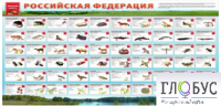 Стенд "Красная книга РФ" - «globural.ru» - Карпинск