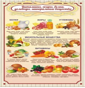 Стенд "Витамины, жиры, белки" - «globural.ru» - Карпинск