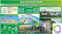 Стенд "Экология. Антропогенное воздействие на биосферу" - «globural.ru» - Карпинск