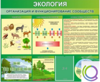 Стенд "Экология. Организация и функционирование сообществ" - «globural.ru» - Карпинск
