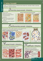 Биология 8-9 класс. Человек. (комплект таблиц) - «globural.ru» - Карпинск