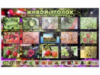 Комплект оборудования "Живой уголок" (растения) с тифлопереводом и сурдокомментариями - «globural.ru» - Карпинск
