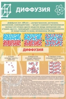 Стенд "Диффузия" - «globural.ru» - Карпинск