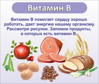Стенд "Витамин В" - «globural.ru» - Карпинск