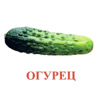 Карточки Домана "Овощи-Зелень-1" - «globural.ru» - Карпинск