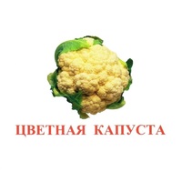 Карточки Домана "Овощи-Зелень-2" - «globural.ru» - Карпинск