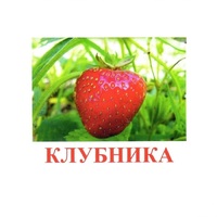Карточки Домана "Ягоды-1" - «globural.ru» - Карпинск