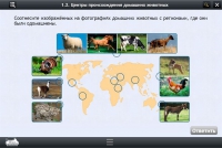 Интерактивные курсы. Биология 7 класс. Расширенный - «globural.ru» - Карпинск