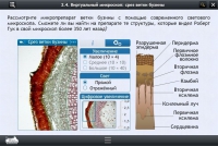 Интерактивные курсы. Биология 5 класс. Расширенный - «globural.ru» - Карпинск