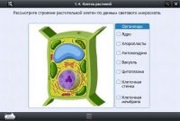 Интерактивные курсы. Биология 9 класс. Расширенный - «globural.ru» - Карпинск