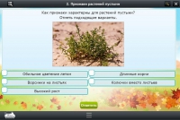 Интерактивные курсы. Окружающий мир 3 класс. Базовый - «globural.ru» - Карпинск