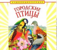 CD "Аудиоэнциклопедия. Городские птицы" - «globural.ru» - Карпинск