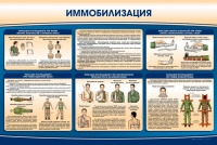 Стенд "Иммобилизация" - «globural.ru» - Карпинск