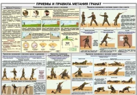 Плакат "Приемы и правила метания гранат" - «globural.ru» - Карпинск