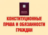 Комплект плакатов "Конституционные права и обязанности граждан" - «globural.ru» - Карпинск