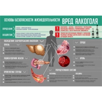 Стенд "Алкоголь" - «globural.ru» - Карпинск
