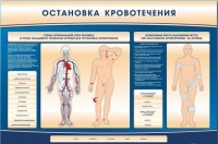 Электрифицированный стенд-тренажер "Остановка кровотечения" - «globural.ru» - Карпинск