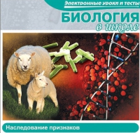 CD "Биология в школе. Наследование признаков" (электронные уроки и тесты) - «globural.ru» - Карпинск
