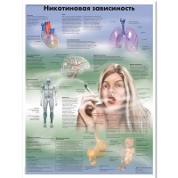 Плакат "Никотиновая зависимость", ламинированный, 50*67 см - «globural.ru» - Карпинск