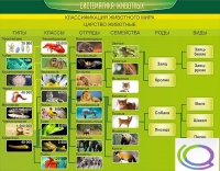 Стенд "Систематика животных" - «globural.ru» - Карпинск