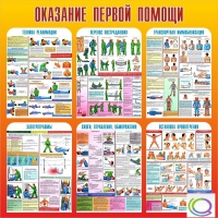 Стенд "Оказание первой помощи" - «globural.ru» - Карпинск