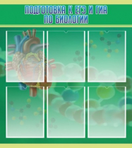 Стенд "Подготовка к ЕГЭ и ОГЭ по биологии" (вариант 1) - «globural.ru» - Карпинск