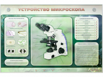 Электрифицированный стенд "Устройство микроскопа и правила работы c ним" - «globural.ru» - Карпинск