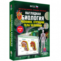 Наглядная биология. Человек. Строение тела человека - «globural.ru» - Карпинск