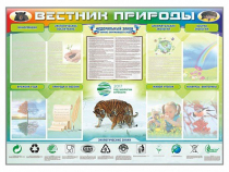 Стенд-уголок "Вестник природы" (вариант 1) - «globural.ru» - Карпинск