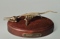 Модель скелета ихтиозавра Ichthyosaurus - «globural.ru» - Карпинск