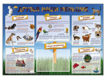 Стенд-уголок "Друзья наши меньшие" - «globural.ru» - Карпинск