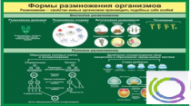 Стенд "Формы размножения организмов" - «globural.ru» - Карпинск