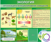 Стенд "Экология. Организация и функционирование сообществ" - «globural.ru» - Карпинск