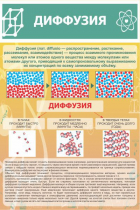 Стенд "Диффузия" - «globural.ru» - Карпинск