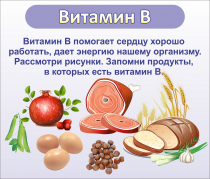 Стенд "Витамин В" - «globural.ru» - Карпинск