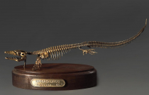 Модель скелета мозазавра Mosasaurus - «globural.ru» - Карпинск
