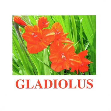 "Flowers-1" ("Цветы-1") английские карточки Домана - «globural.ru» - Карпинск