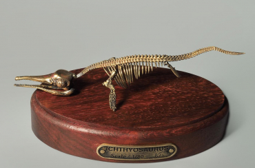 Модель скелета ихтиозавра Ichthyosaurus - «globural.ru» - Карпинск