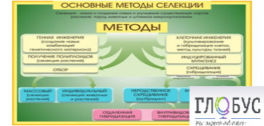 Стенд "Методы селекции и биотехнологии" - «globural.ru» - Карпинск