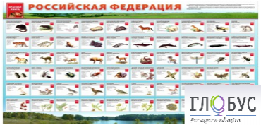 Стенд "Красная книга РФ" - «globural.ru» - Карпинск