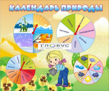 Стенд "Календарь природы" (вариант 1) - «globural.ru» - Карпинск