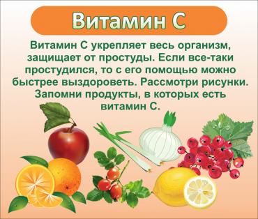 Стенд "Витамин С" - «globural.ru» - Карпинск