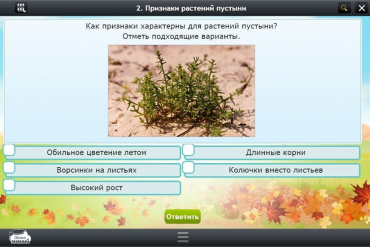Интерактивные курсы. Окружающий мир 3 класс. Базовый - «globural.ru» - Карпинск