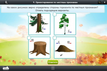 Интерактивные курсы. Окружающий мир 1 класс. Базовый - «globural.ru» - Карпинск