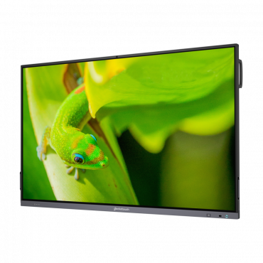 Интерактивный программно-аппаратный комплекс Geckotouch Interactive IP75GT-C в комплекте с настенным креплением - «globural.ru» - Карпинск